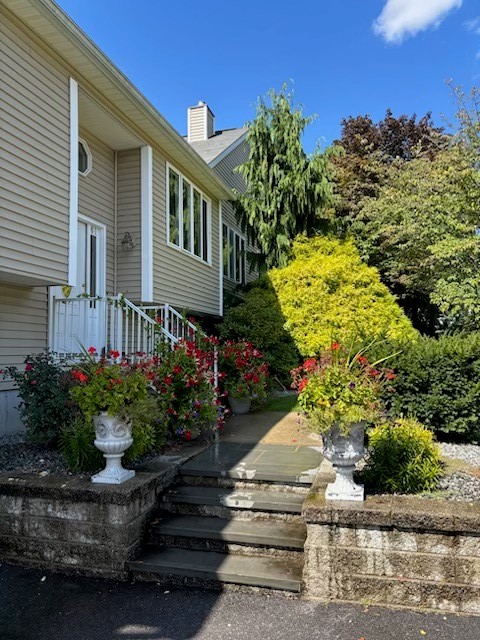 61 Wilson Avenue