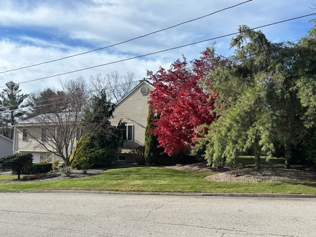 61 Wilson Avenue