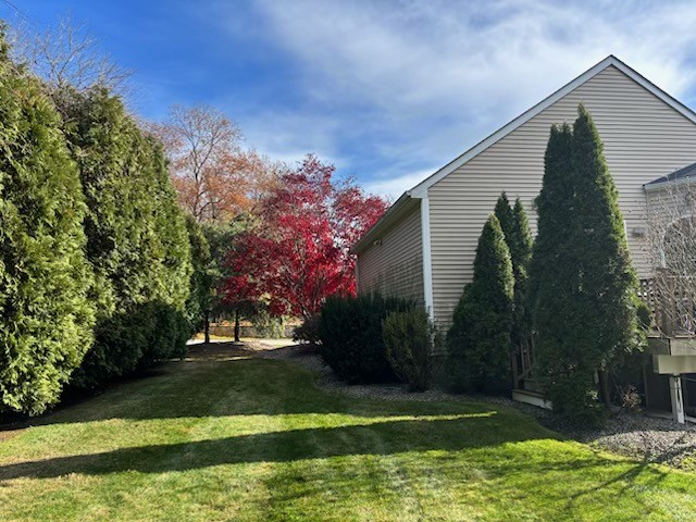 61 Wilson Avenue