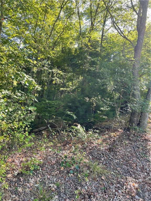 0 Carolina Back Road