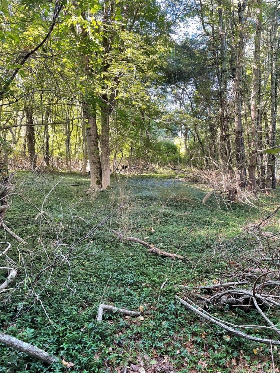 0 Carolina Back Road