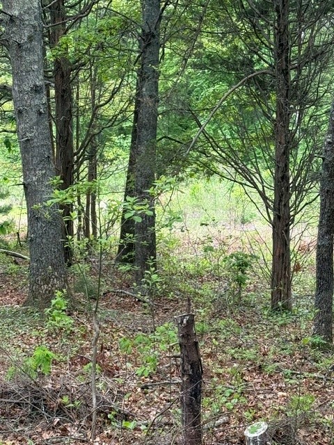 12 Fallon Trail R