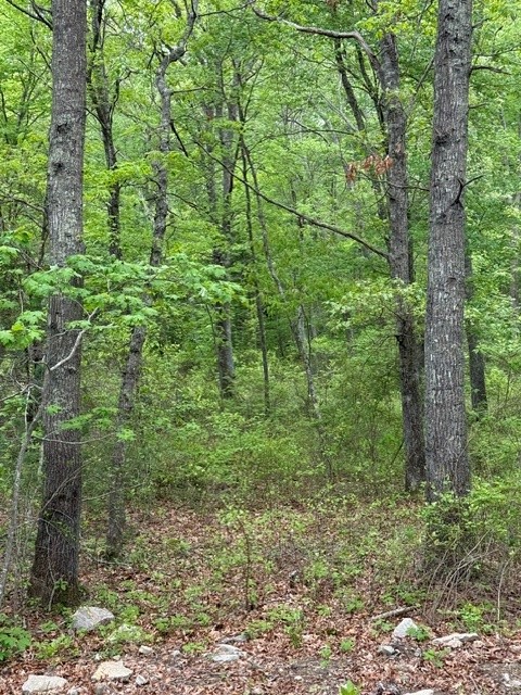 12 Fallon Trail R