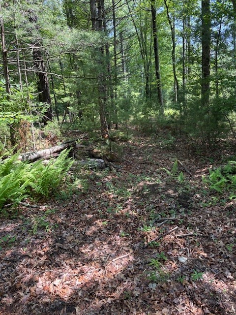 362 Fry Pond Road