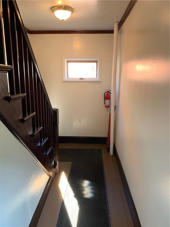 113 Prospect Hill Street 2