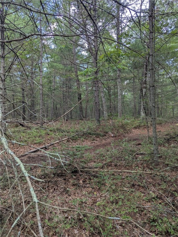 0 Douglas Pike (Rear)