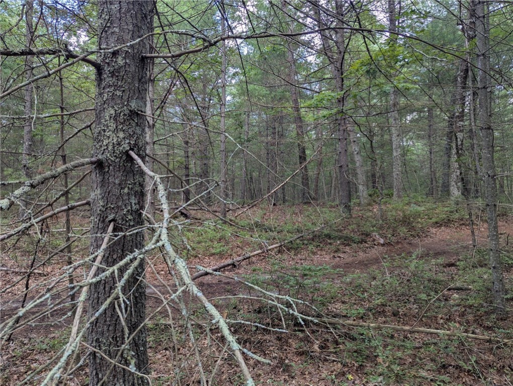 0 Douglas Pike (Rear)