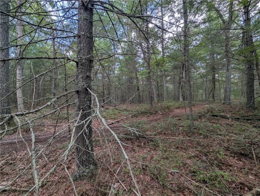 0 Douglas Pike (Rear)