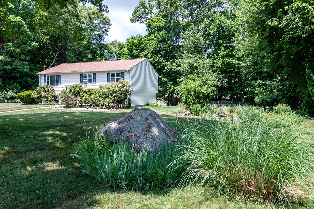 5 Lions Drive