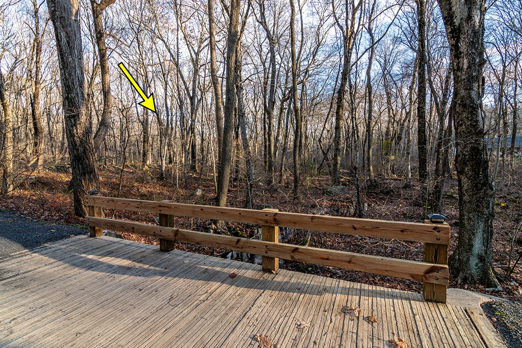 55 Pardons Wood Lane