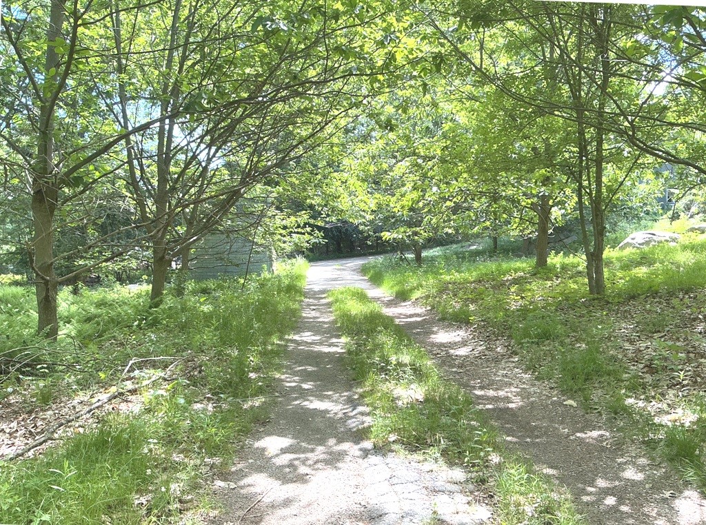 339 Anglewood Drive