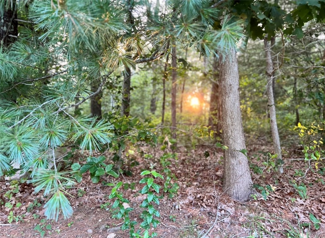 Photo 5 of 13 of 5 Red Maple Drive land