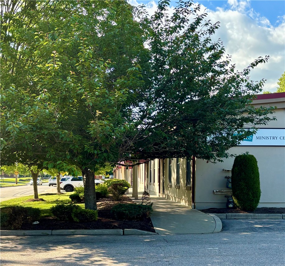 61 Cedar Avenue 6
