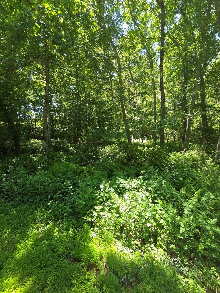 85 Diamond Hill Road