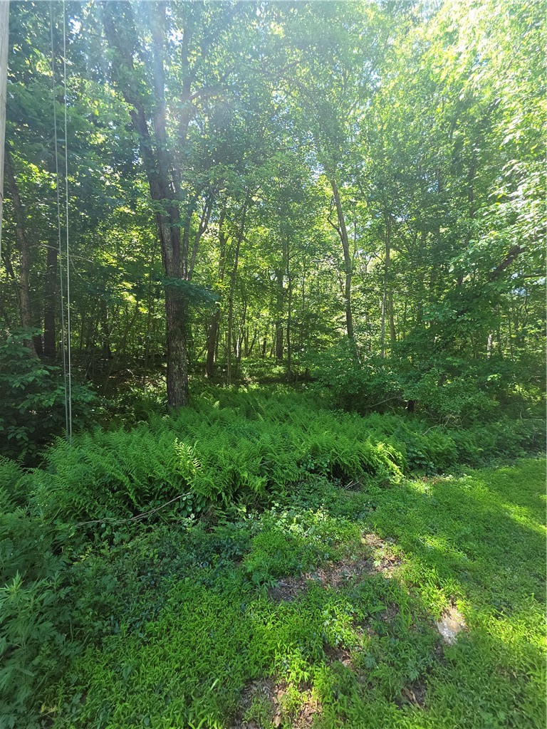 85 Diamond Hill Road