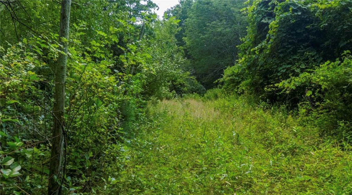 0 Lawton Foster Road