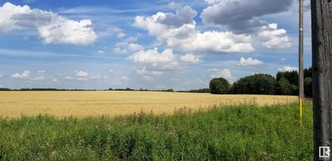 20375 18 Street Edmonton AB T5Y 6B7