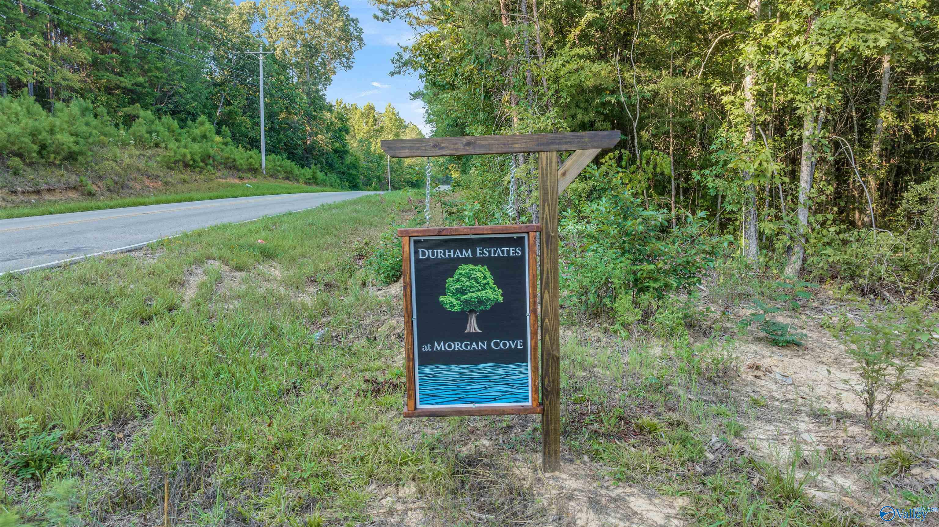 Lot #4 South Sauty Road, Langston, Alabama image 8