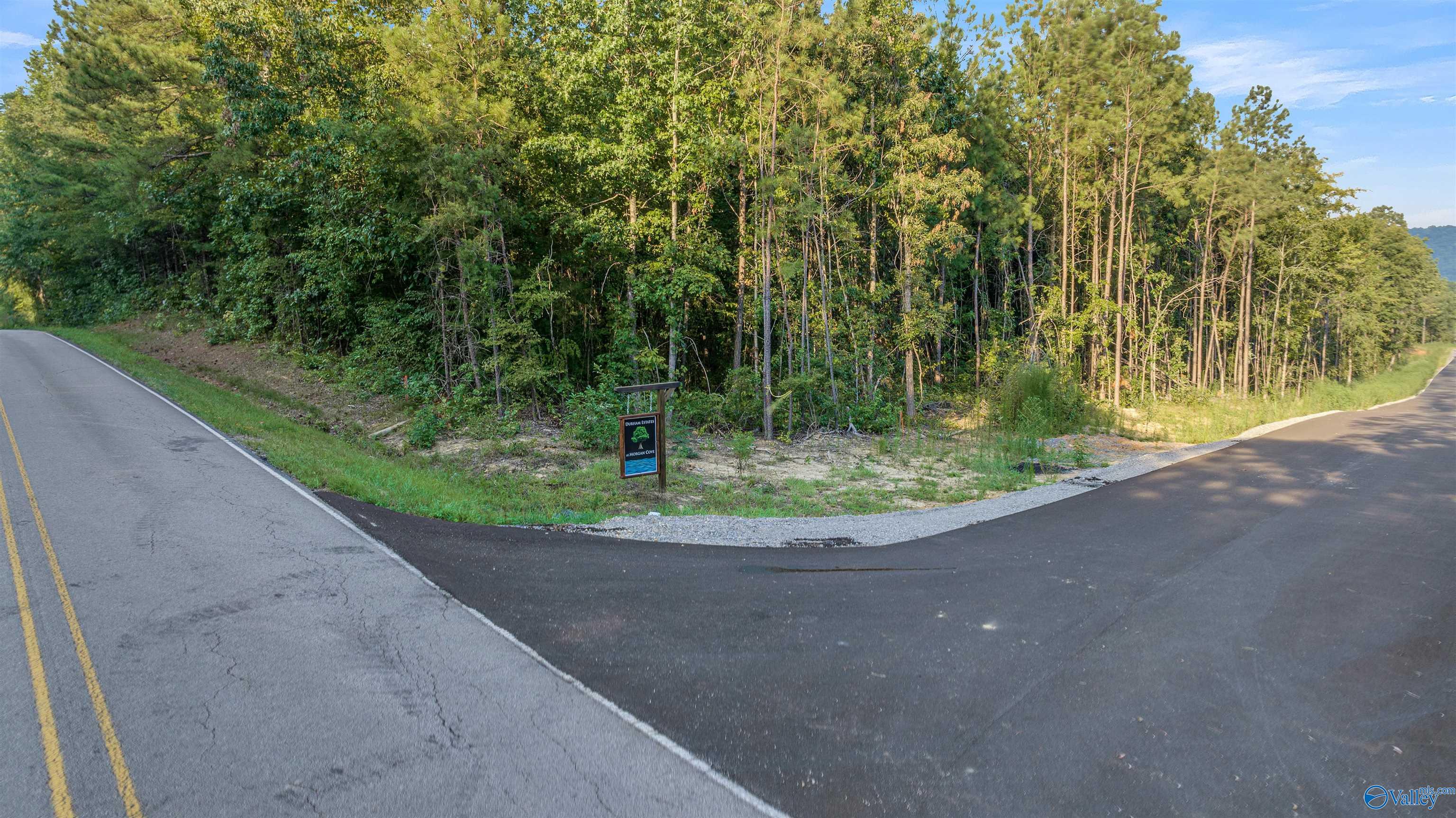 Lot #4 South Sauty Road, Langston, Alabama image 9