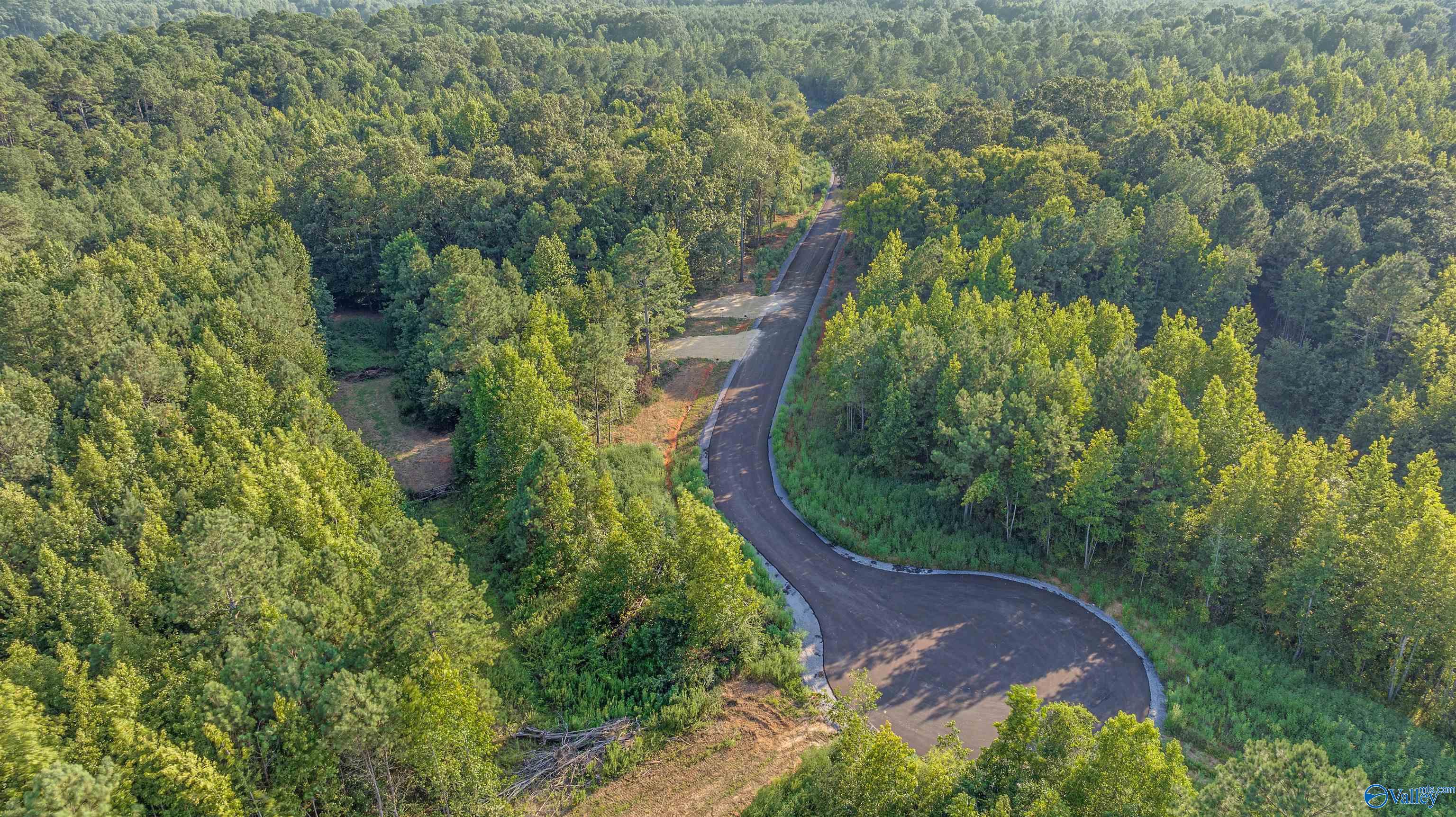 Lot #4 South Sauty Road, Langston, Alabama image 13