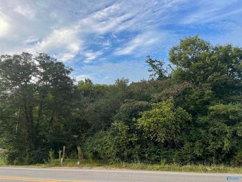 Vacant Land For Sale - 8485 Us Highway 411<br/> Cherokee County, Centre, AL 35960