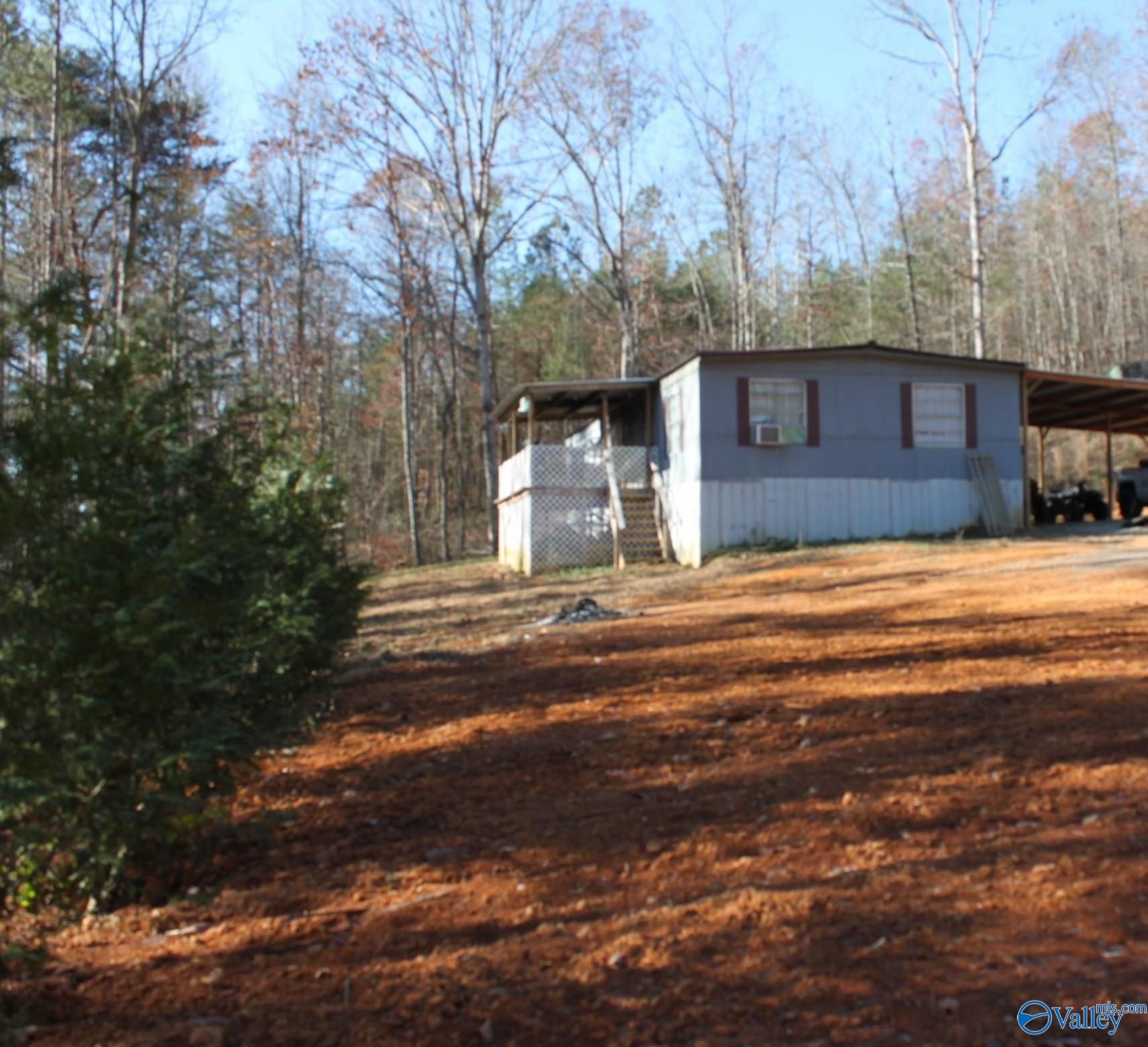 3093 County Road 494, Fort Payne, Alabama image 2