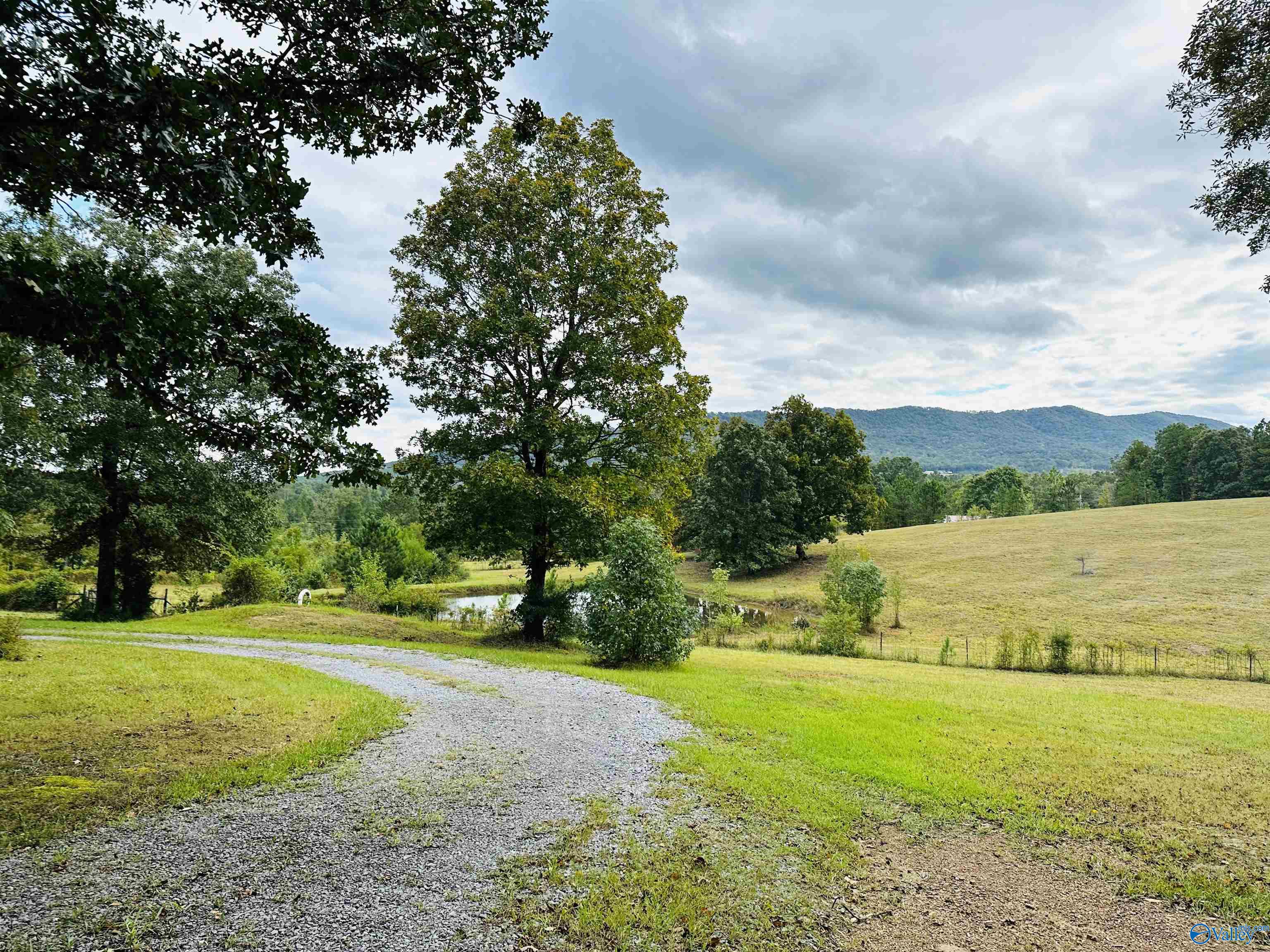 1941 County Road 14, Piedmont, Alabama image 5