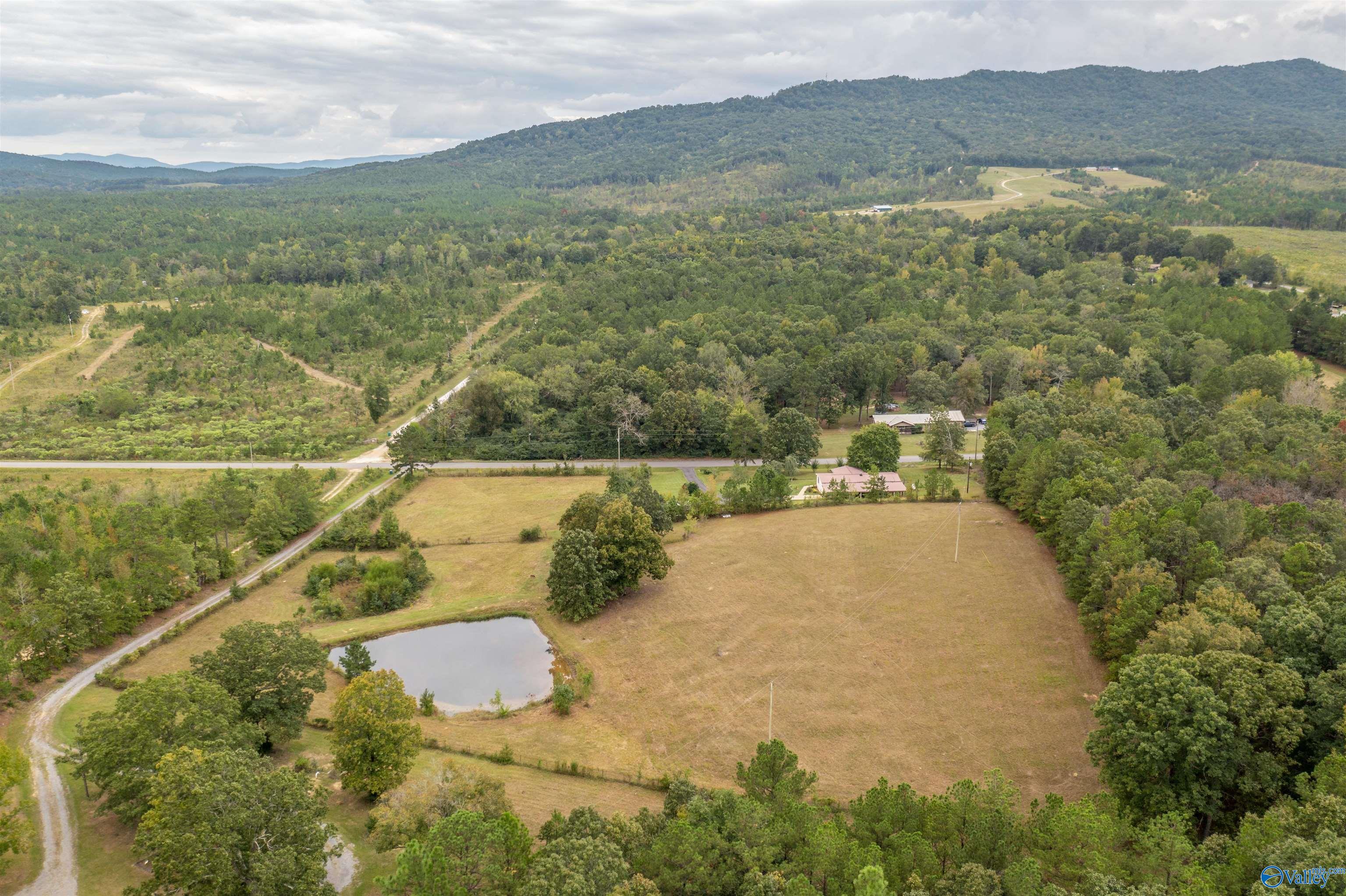 1941 County Road 14, Piedmont, Alabama image 6