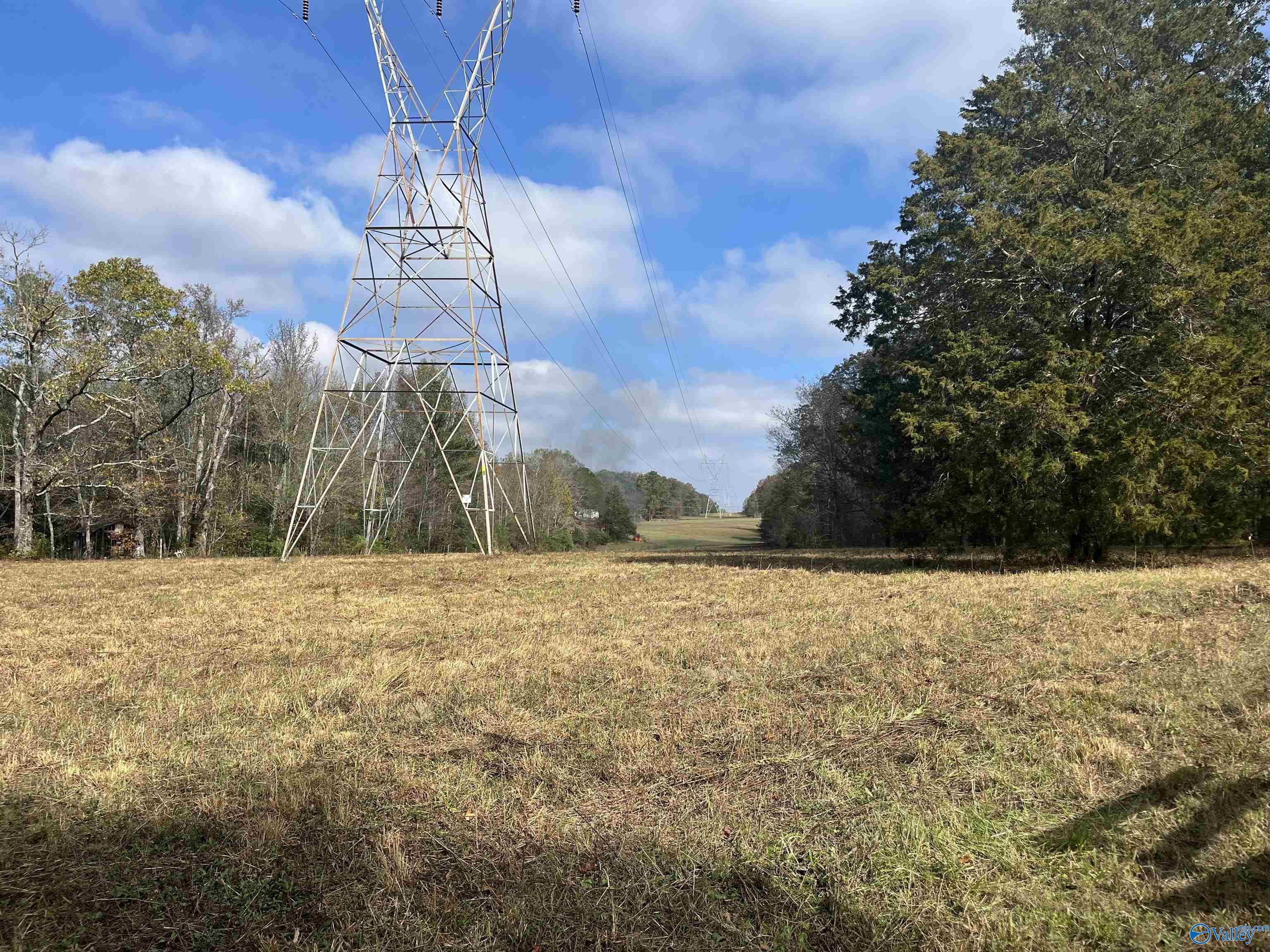 6.78 Acres Matt Morrow Road, Arab, Alabama image 2