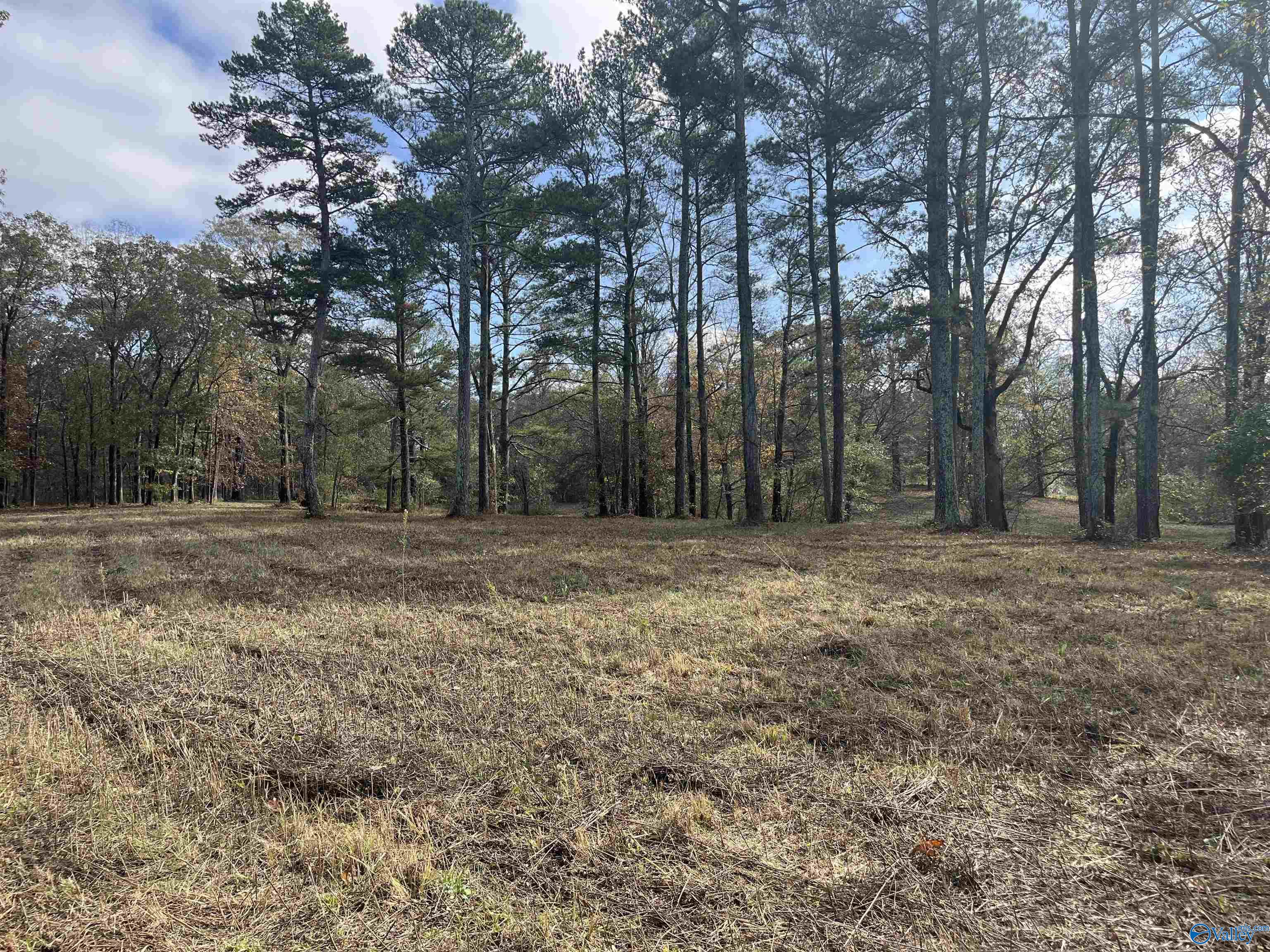 6.78 Acres Matt Morrow Road, Arab, Alabama image 6