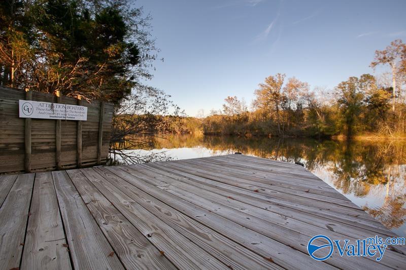 2383 Veranda Trace, Gadsden, Alabama image 41