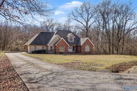 Photo of 155 Iris Lane, Bridgeport, AL 35740 (MLS # 21909895)