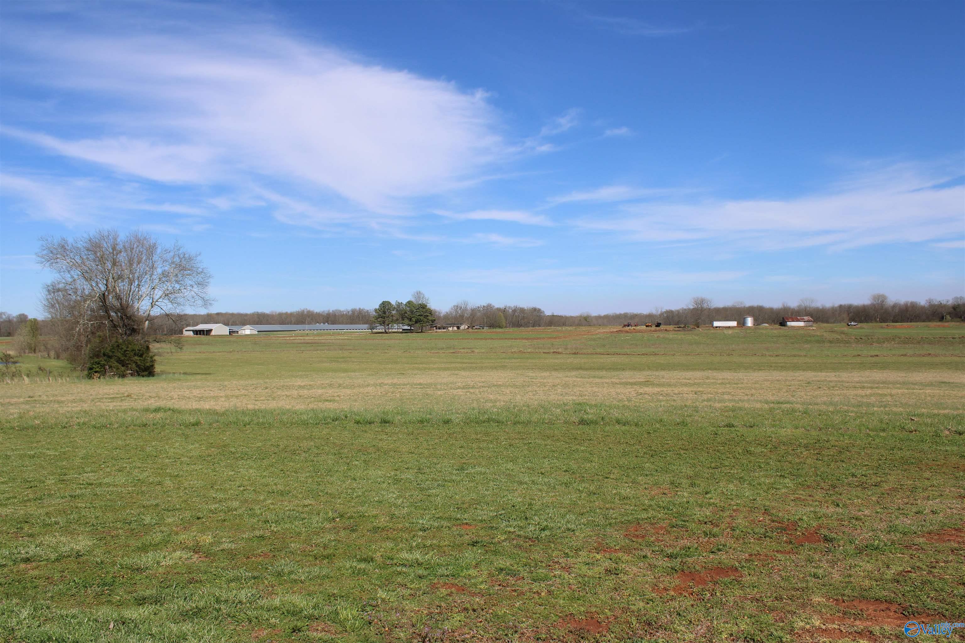 5382 Alabama Highway 101, Town Creek, Alabama image 21