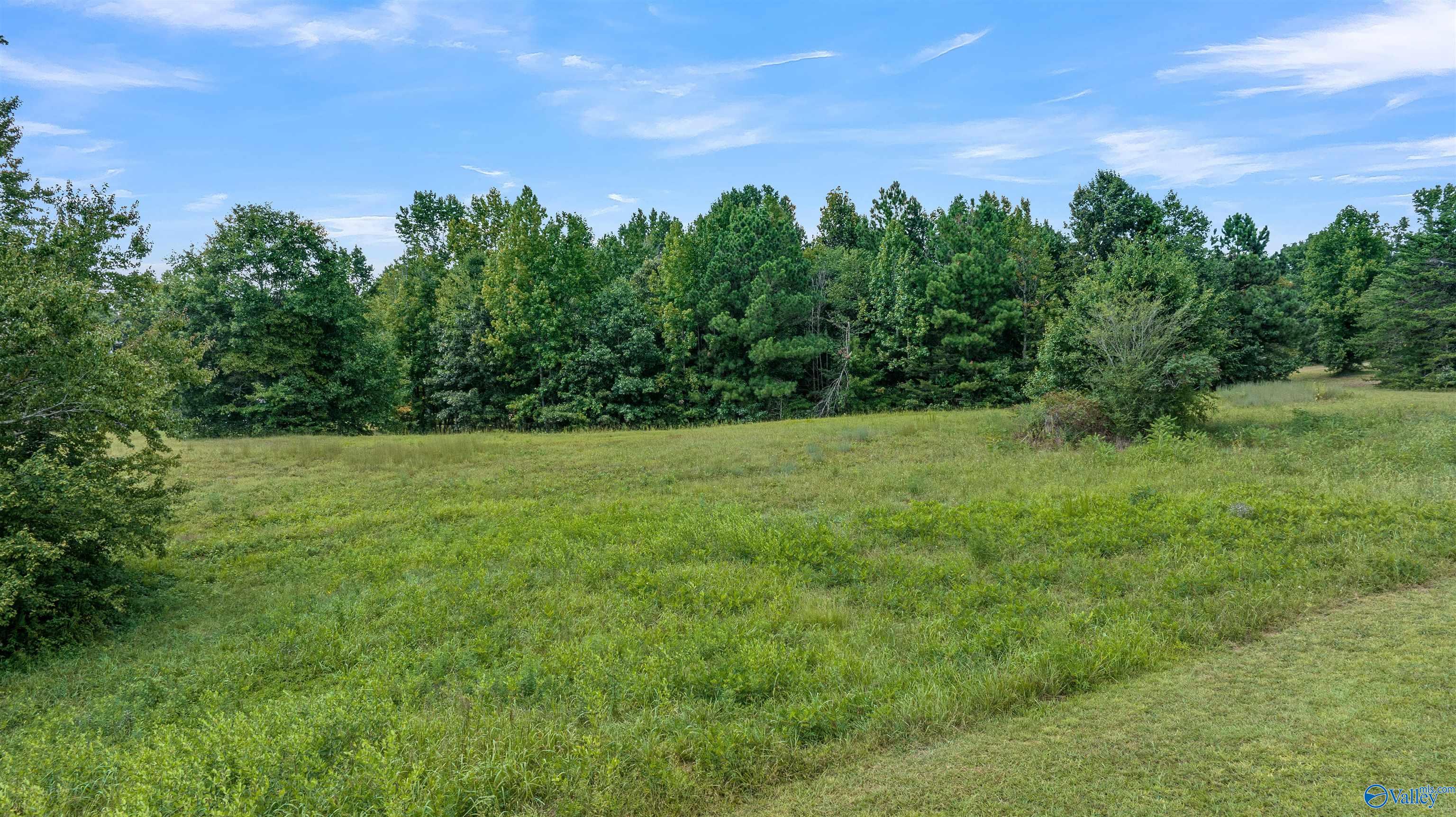 Lot #25 Honeysuckle Drive, Rainsville, Alabama image 3