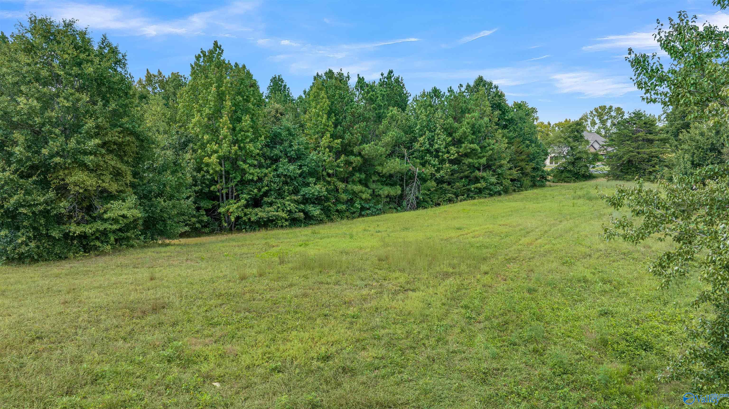 Lot #25 Honeysuckle Drive, Rainsville, Alabama image 4