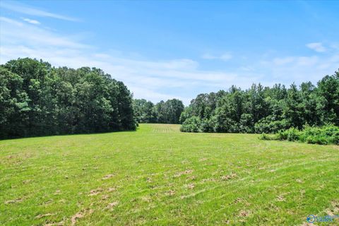 Vacant Land For Sale - 659 Church Road<br/> Hartselle, AL 35640