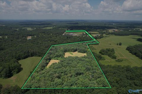 Vacant Land For Sale - 659 Church Road<br/> Hartselle, AL 35640