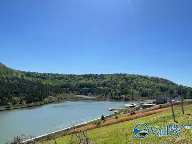 Lot 22 Colonial Drive, Guntersville, Alabama image 17