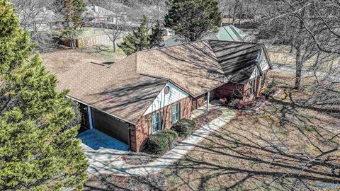 Photo of 101 Ventana Circle, Harvest, AL 35749 (MLS # 21909693)