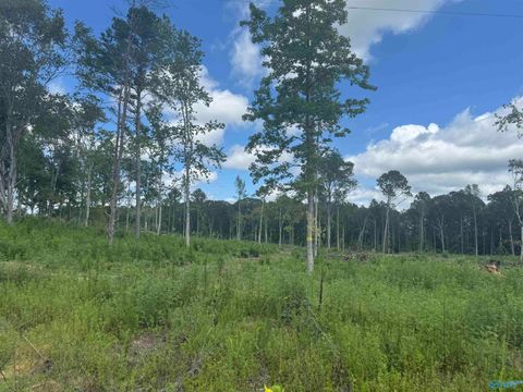 Vacant Land For Sale - 6 ACRES County Road 794<br/> Cherokee County, Gaylesville, AL 35973
