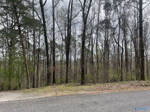 Vacant Land For Sale - 3706 Chula Vista Drive<br/> Morgan County, Decatur, AL 35603
