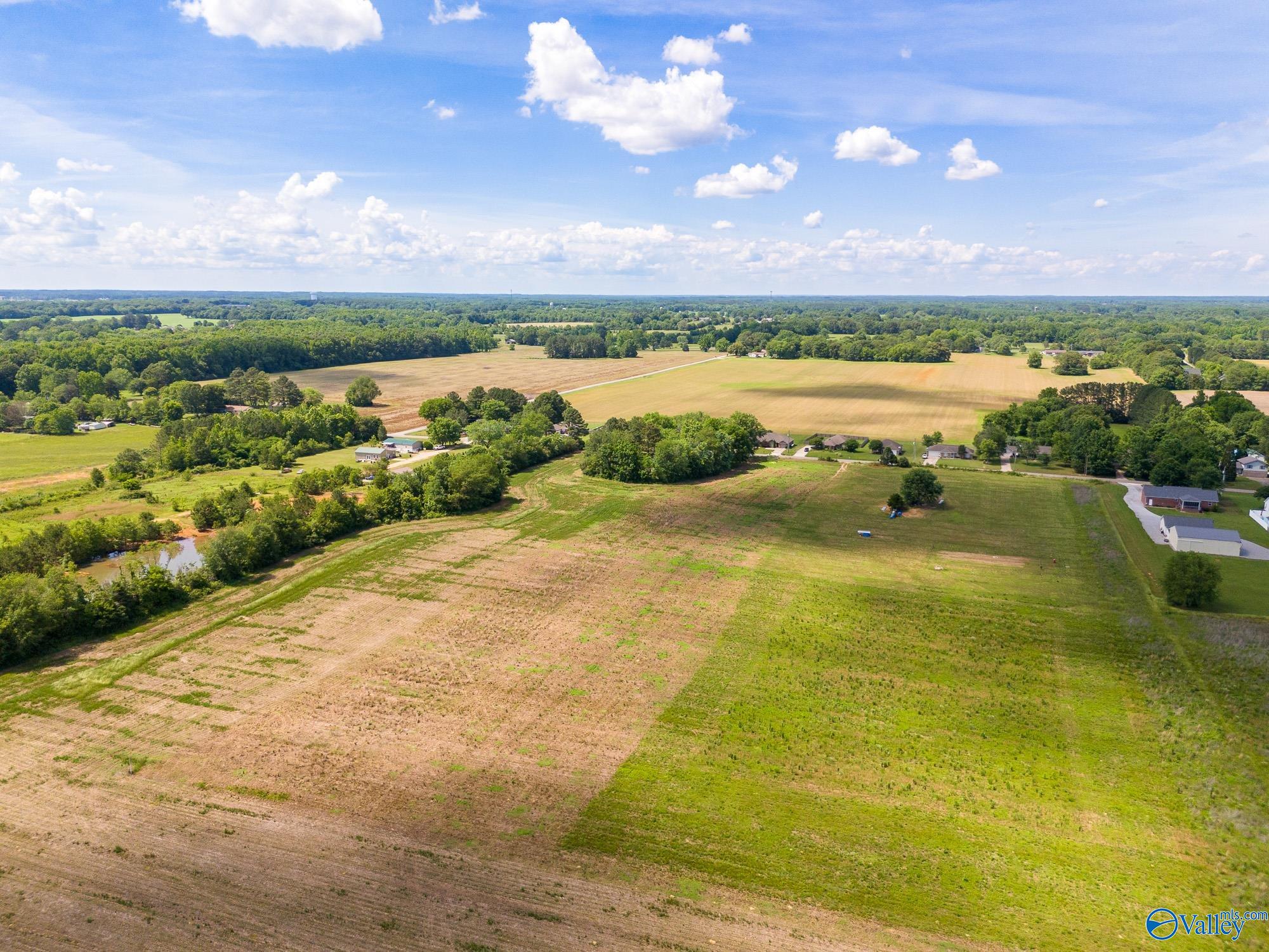 1770 Ready Section Road, Toney, Alabama image 9