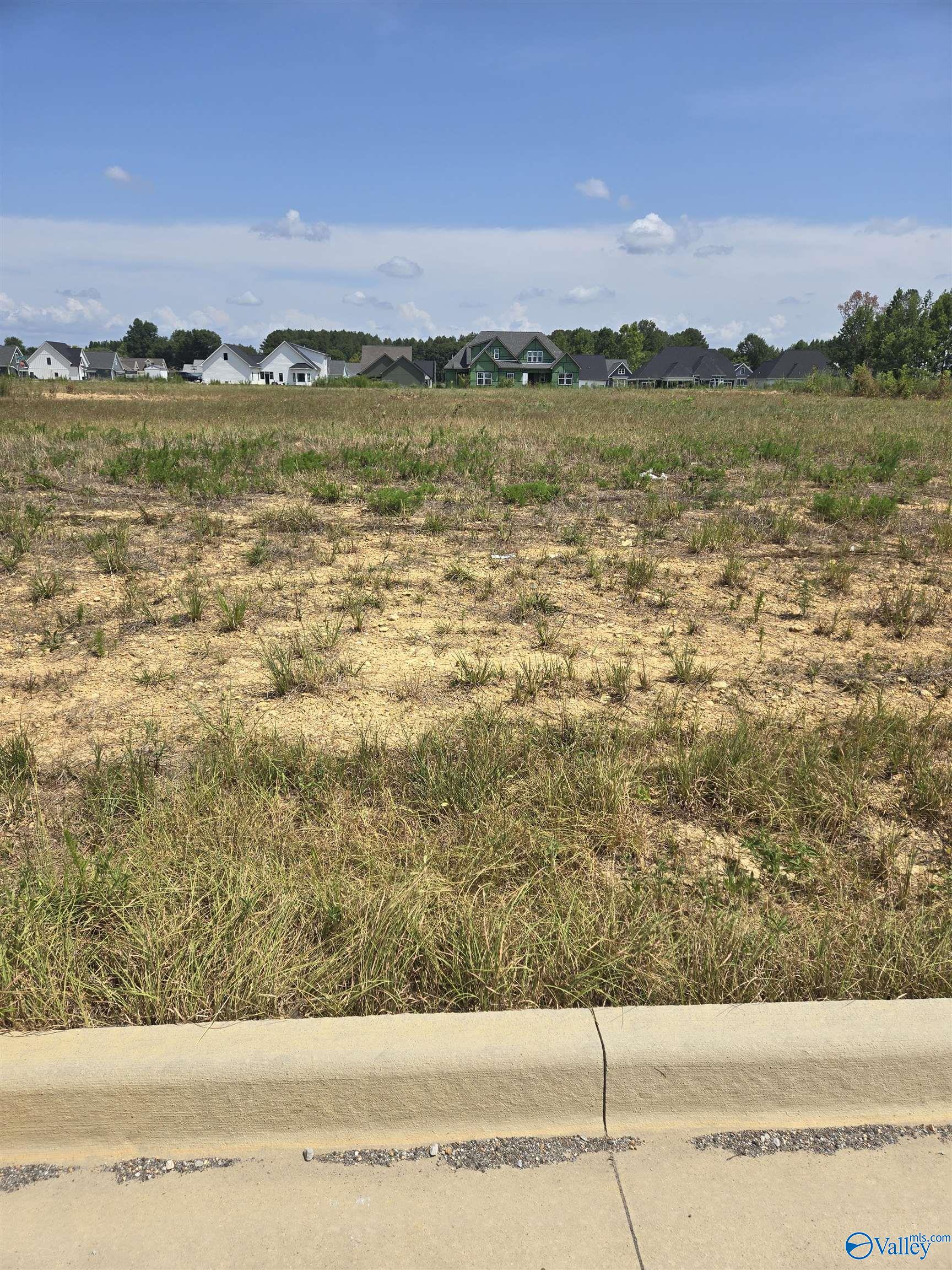 23311 Leroy Lane, Athens, Alabama image 1