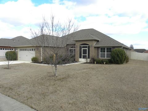 Homes For Rent - 623 Summer Cove<br/> Madison, AL 35757