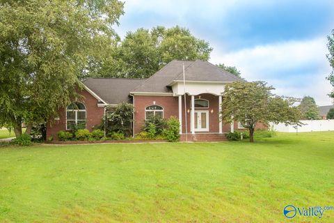 138 Phantom Drive Toney AL 35773