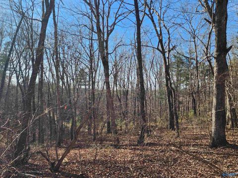 Multifamily For Sale - LOT 35 Road 9050<br/> Mentone, AL 35984