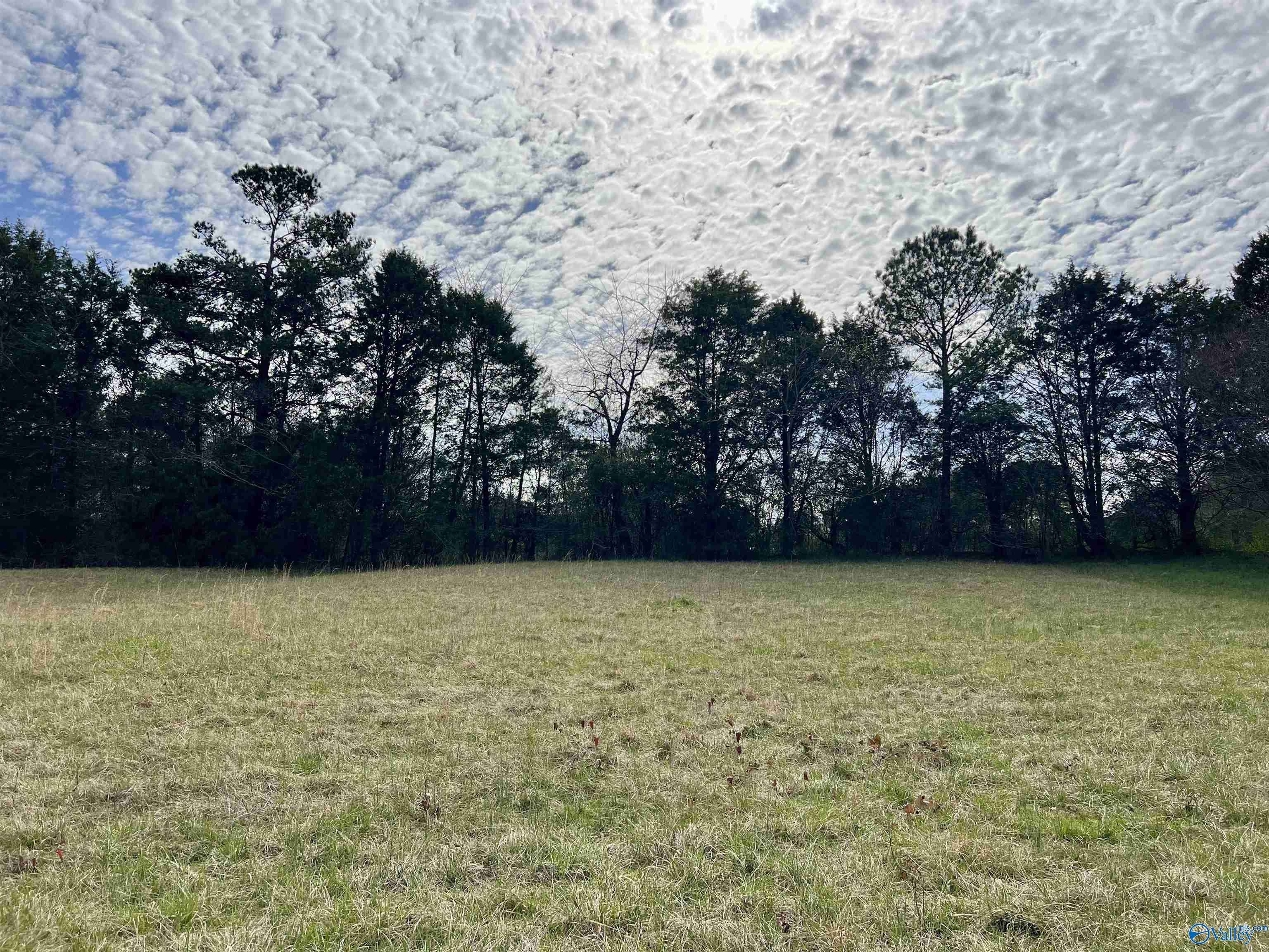 Lot 3 County Road 726, Gaylesville, Alabama image 1