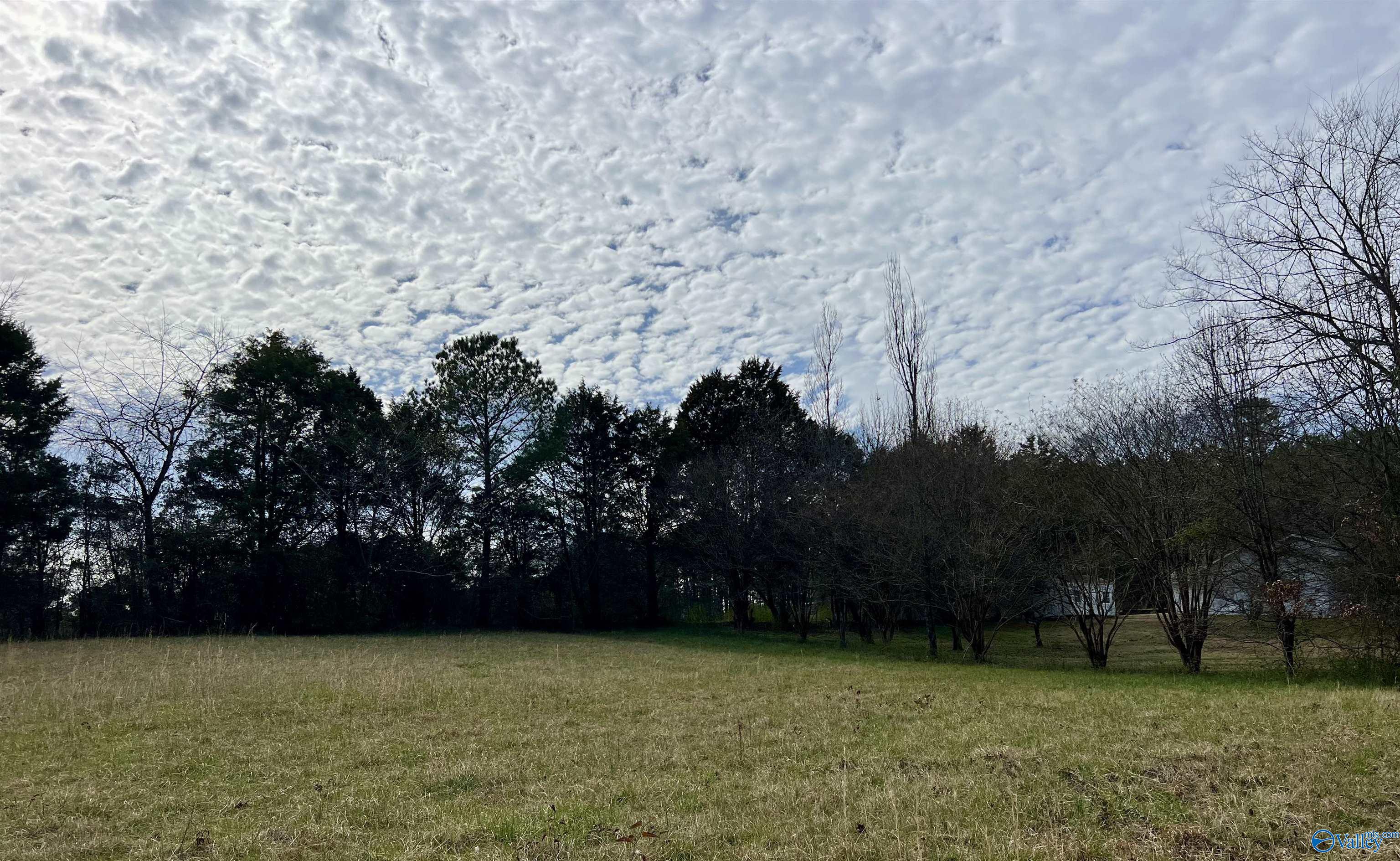 Lot 3 County Road 726, Gaylesville, Alabama image 3
