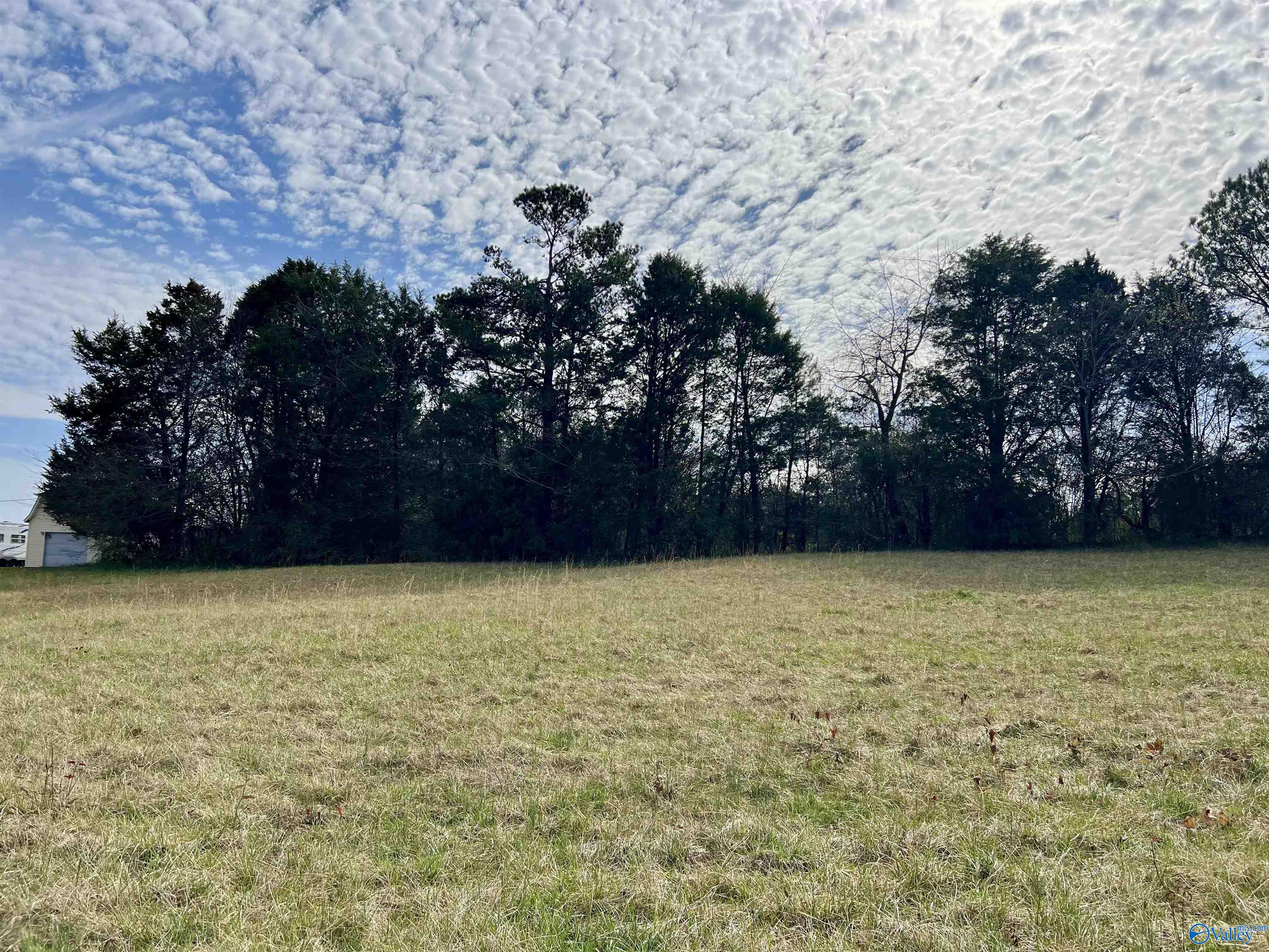 Lot 3 County Road 726, Gaylesville, Alabama image 2