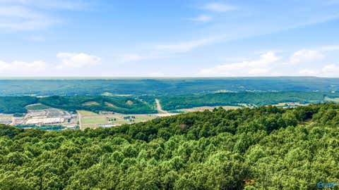 Vacant Land For Sale - 4225 Citadel Rock Road<br/> Dekalb County, Fort Payne, AL 35967